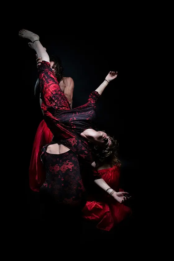 Profesores de la academia