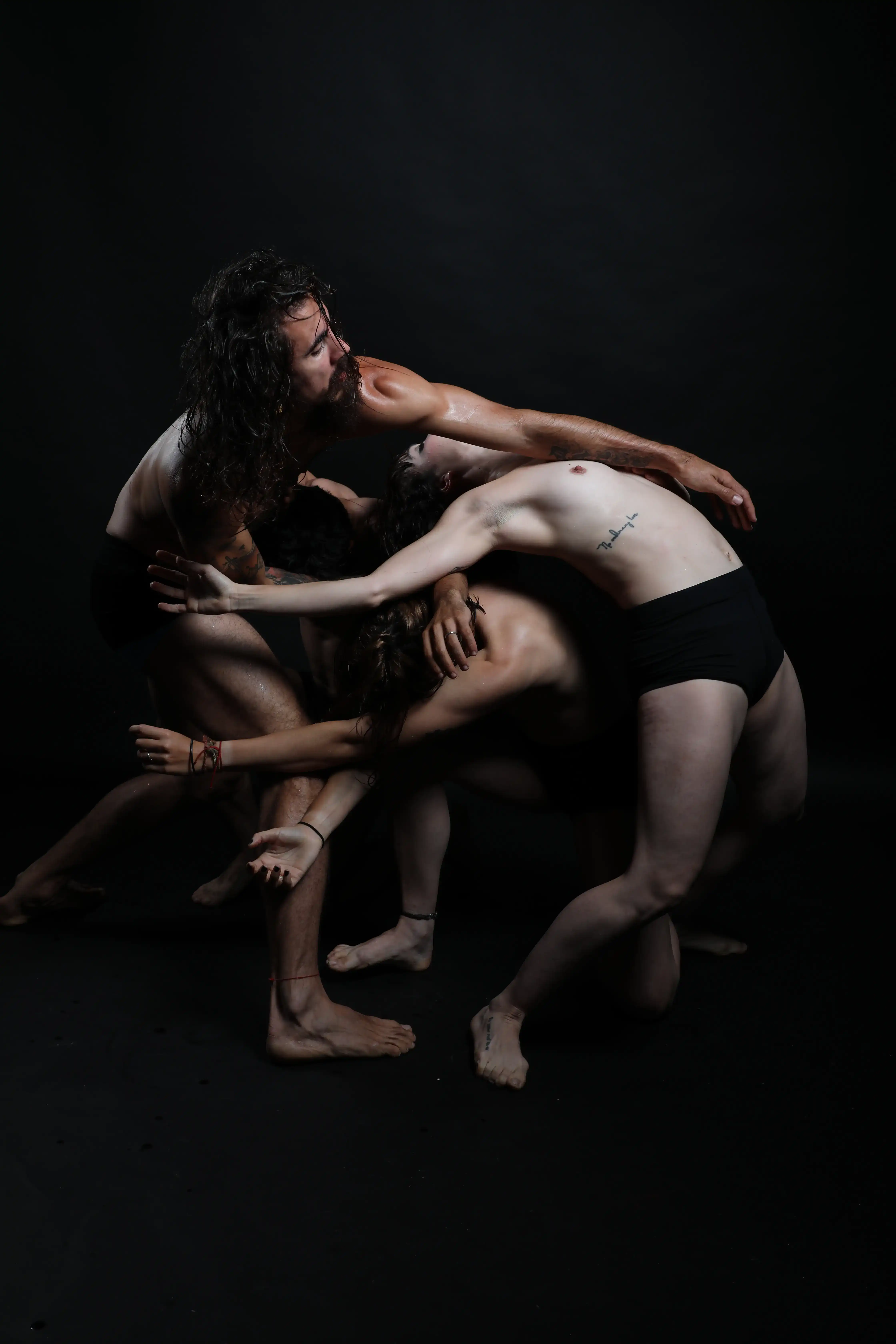 Profesores de la academia