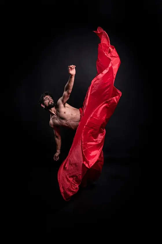 Profesores de la academia