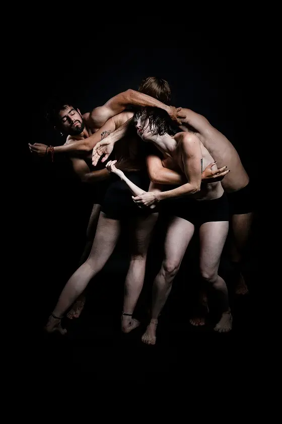 Profesores de la academia